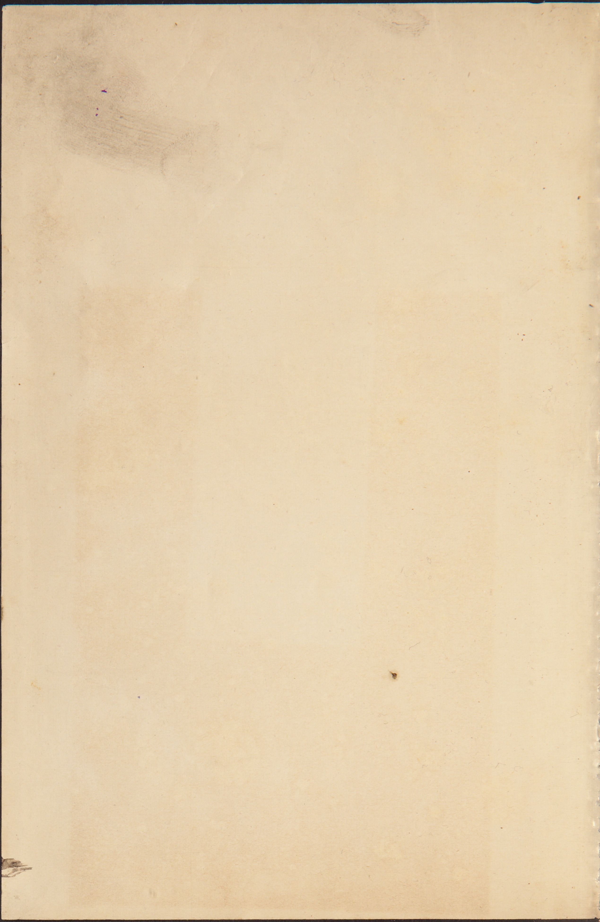 0003-Service File.jpg