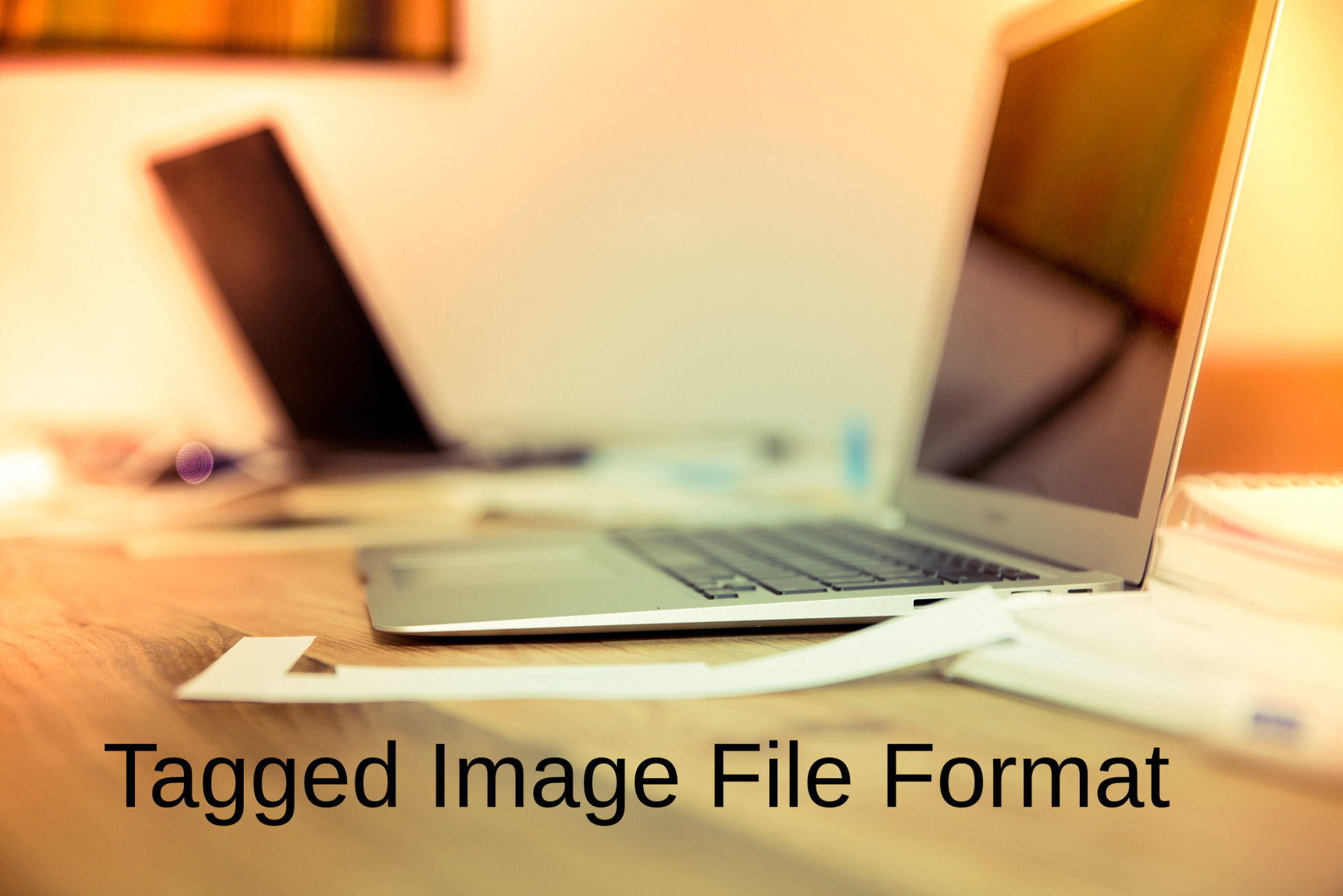 file_example_TIFF_10MB-Service File.jpg